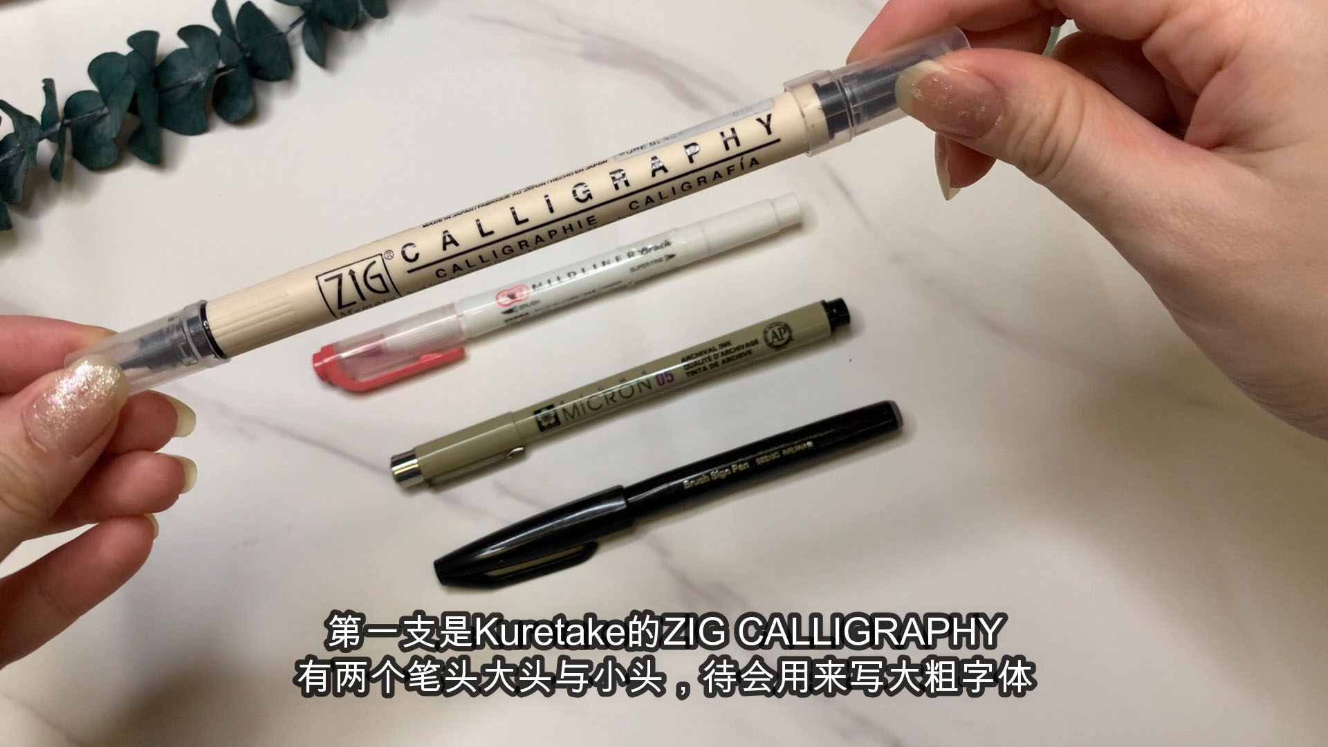 Zig Calligraphy Brush Pen, Calligraphy Pen