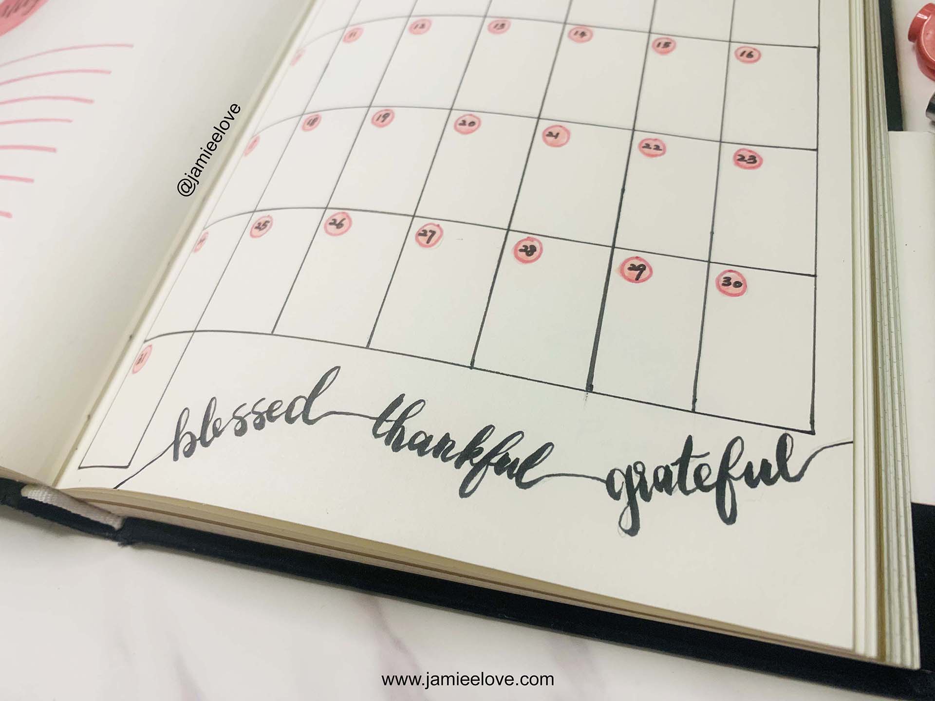 Gratitude Carnation Bullet Journal BUJO To Do List & Monthly Planner | 感恩康乃馨子弹笔记周计划 Gratitude Carnation Bullet Journal BUJO To Do List & Monthly Planner | 感恩康乃馨子弹笔记周计划